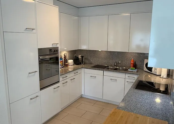 165 Qm Moderne 4 Mit Bergsicht - Piz Alpina * Davos