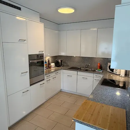 165 Qm Moderne 4 Mit Bergsicht - Piz Alpina * دافوس